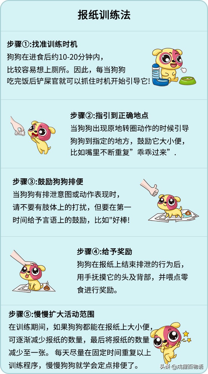 怎么解决狗狗在屋内随地乱拉,狗狗乱拉最好最简单方法