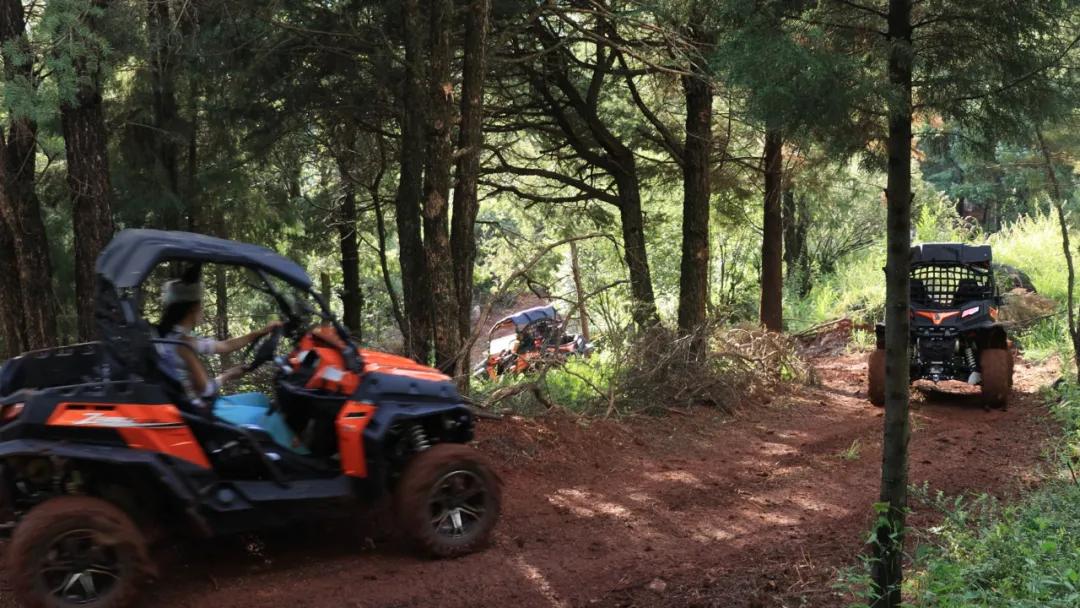 最近昆明有没有最值得去玩景点,推荐昆明最适合去玩的地方