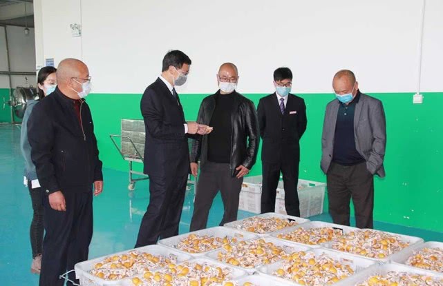 祥云惠民金融,我县金融行业助力企业复工复产