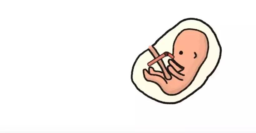 当你还在妈妈肚子里的时候,当孩子还在妈妈肚子里的时候