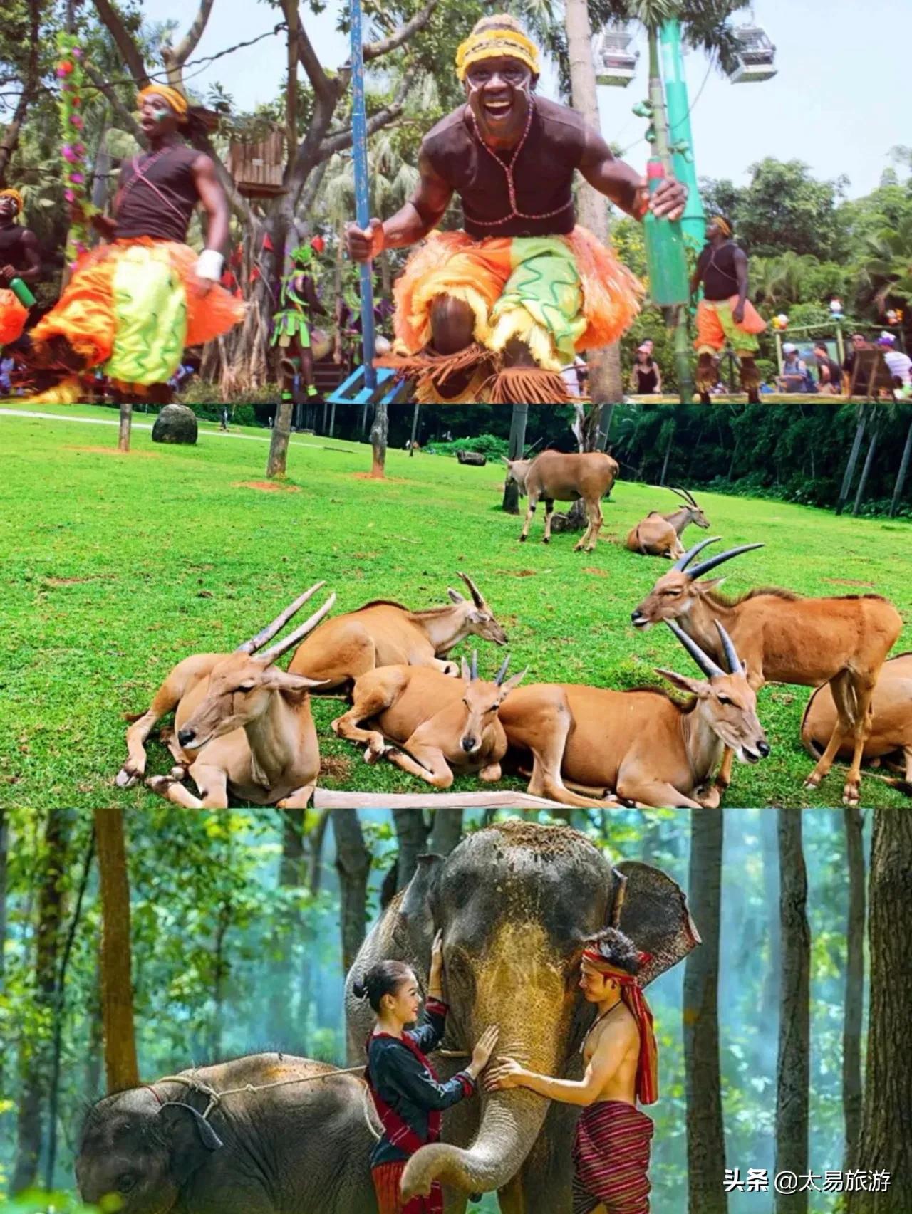 长隆门票买一送一·9月特惠·长隆32周年庆9月限定福利来啦