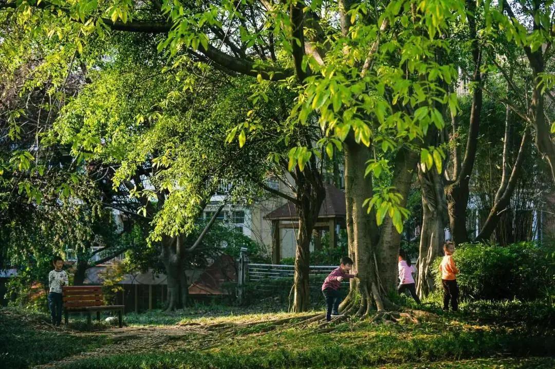 龙湖城市布局,龙湖大境洋房设计图