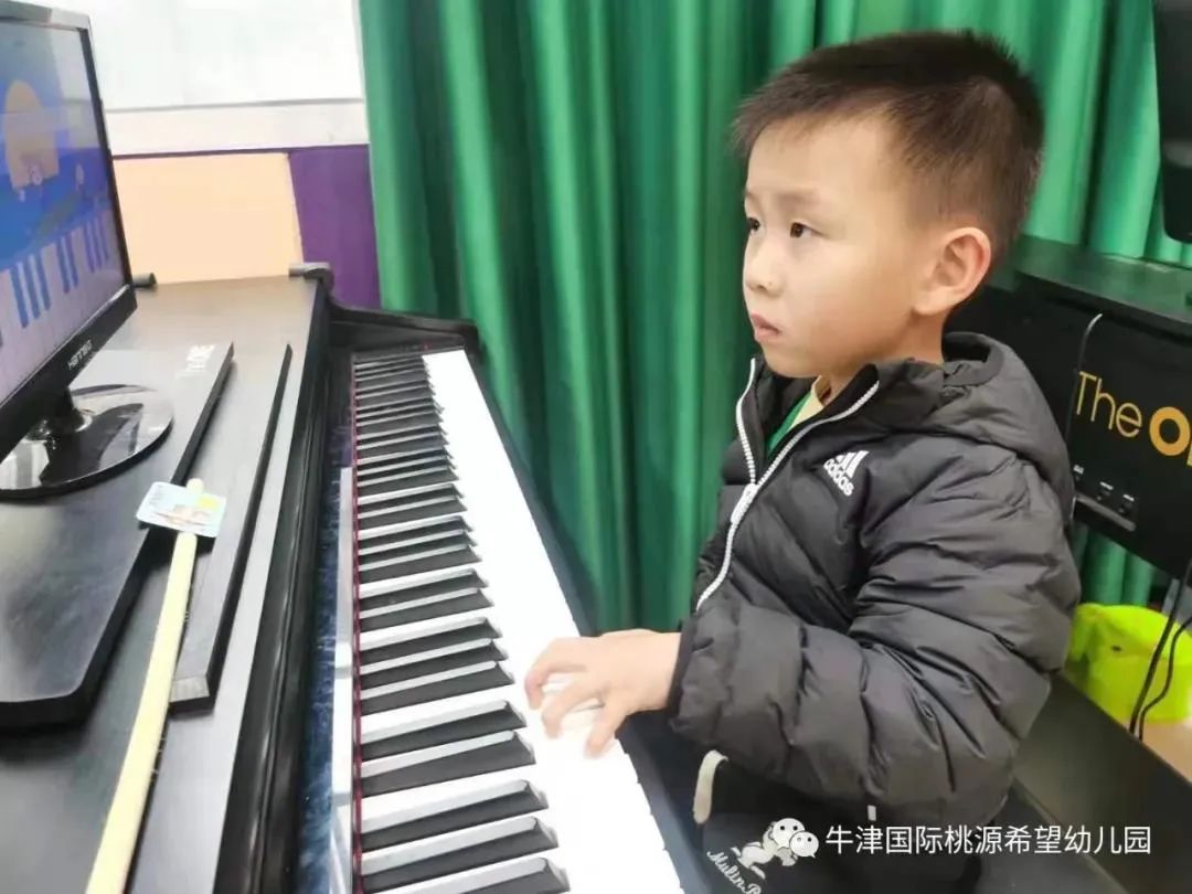 常德桃源公办小学招生政策,常德桃源高中招生计划