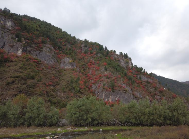 缇庝附涔℃剚涔℃潙缁垮寲鍥剧墖,缇庝附涔℃潙涔℃剚鏅