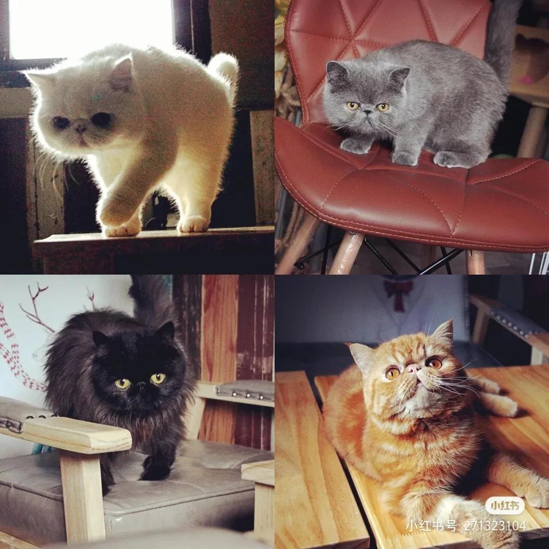 炎热的夏天,社畜需要一个安静的小酒馆