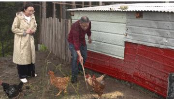 哈尔滨美食小店被南方人攻占,哈尔滨被南方人攻占的美食