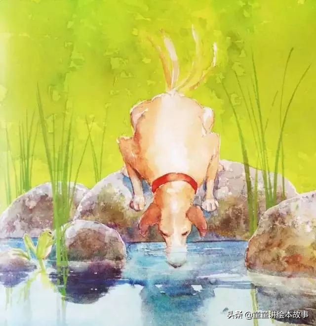 绘本故事有声小熊进城,绘本故事大城市里的小象