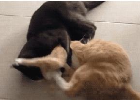 小学搞笑图文,孩子作业气死父母搞笑段子图片