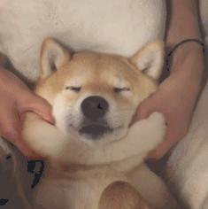 牛仔衬衫叠穿女秋冬,衬衫叠穿法教程