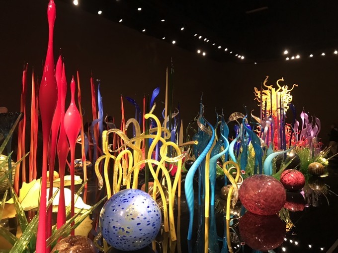 西雅图游记,西雅图游记奥林匹克国家公园