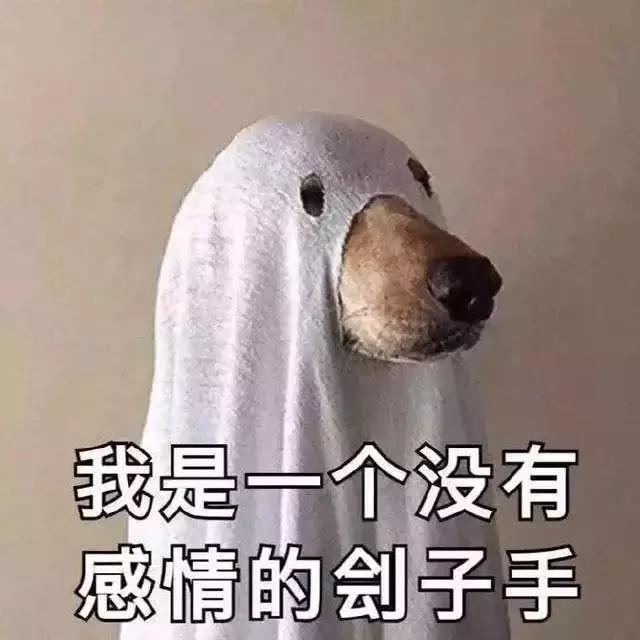 章泽天朋友圈年终总结,章泽天总结婚姻