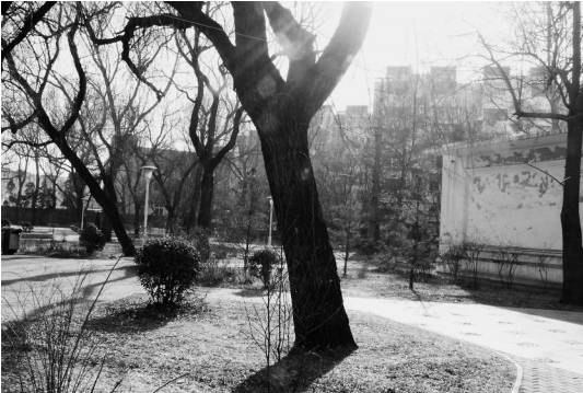 开滦矿区,开滦第一个矿