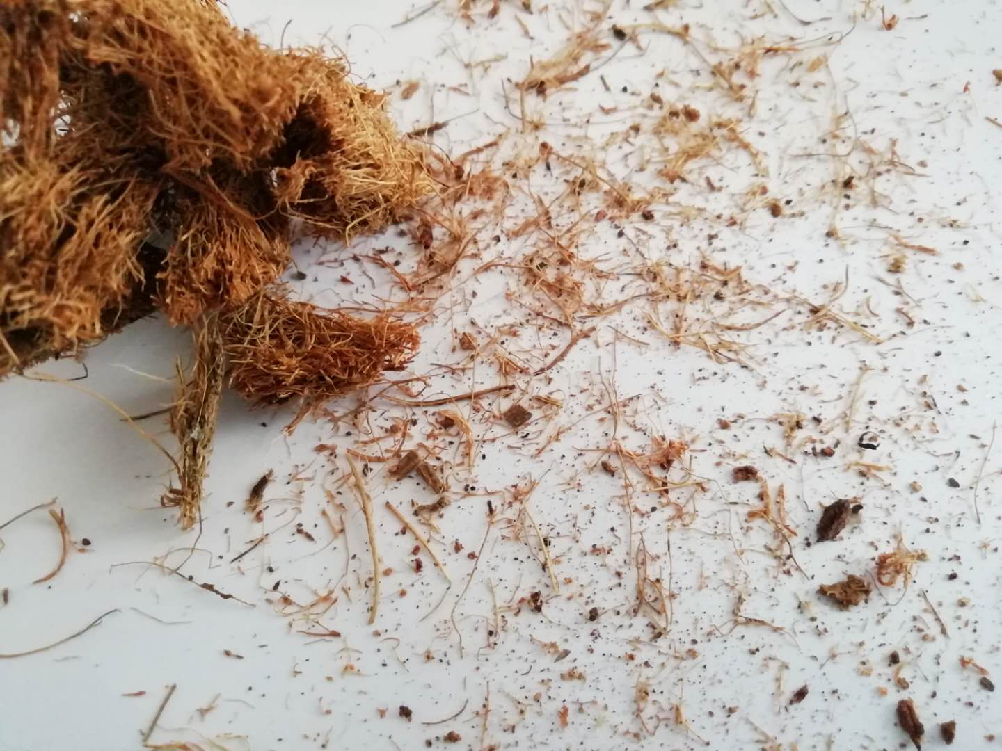 弹簧加棕垫好还是全棕床垫好,床垫棕垫什么品牌好用又便宜