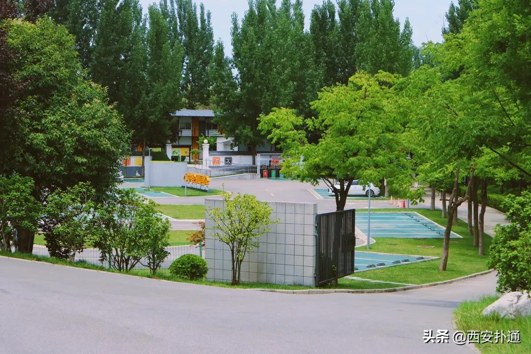西安大草坪公园推荐,西安有大草坪的公园