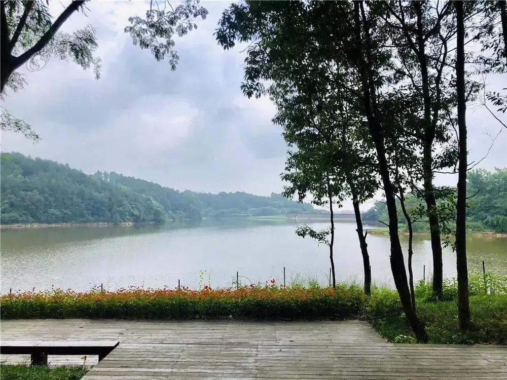 巴适自驾旅游攻略,巴适小众公园