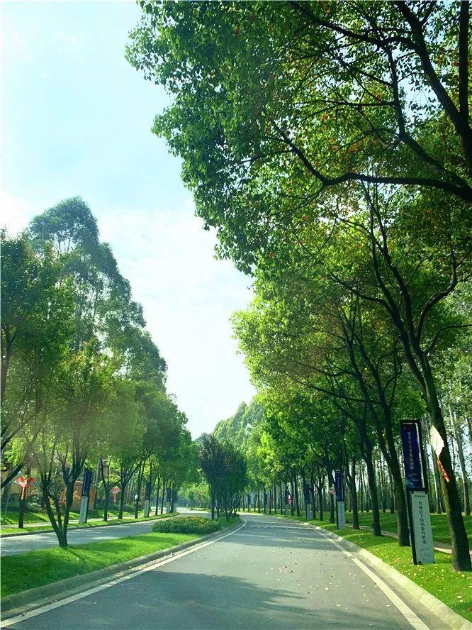 160万套房子需要多少亿,160万房子134平方