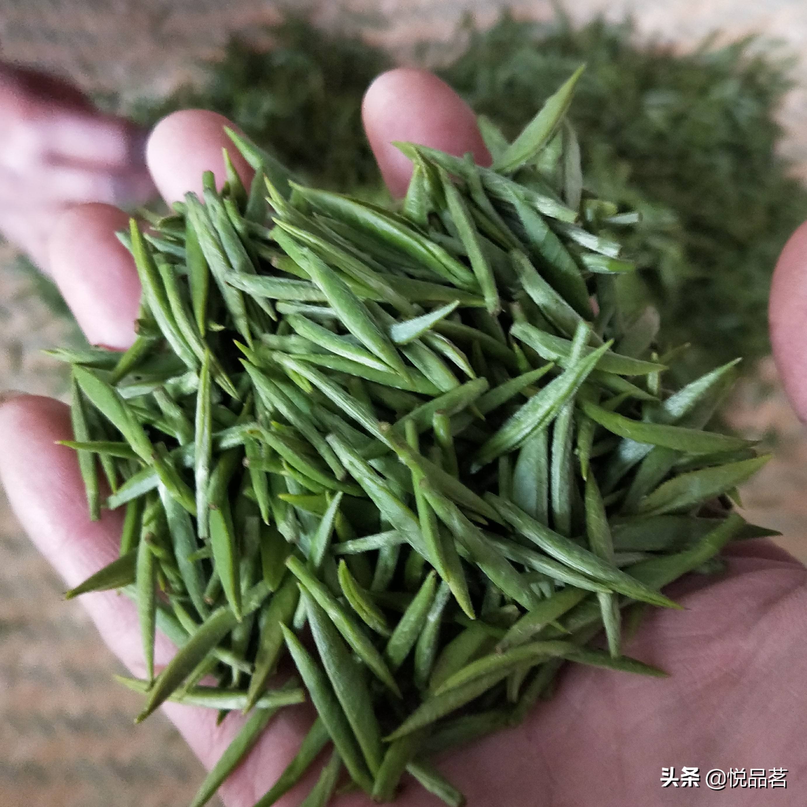 正宗金骏眉茶什么口感,正宗金骏眉的香气
