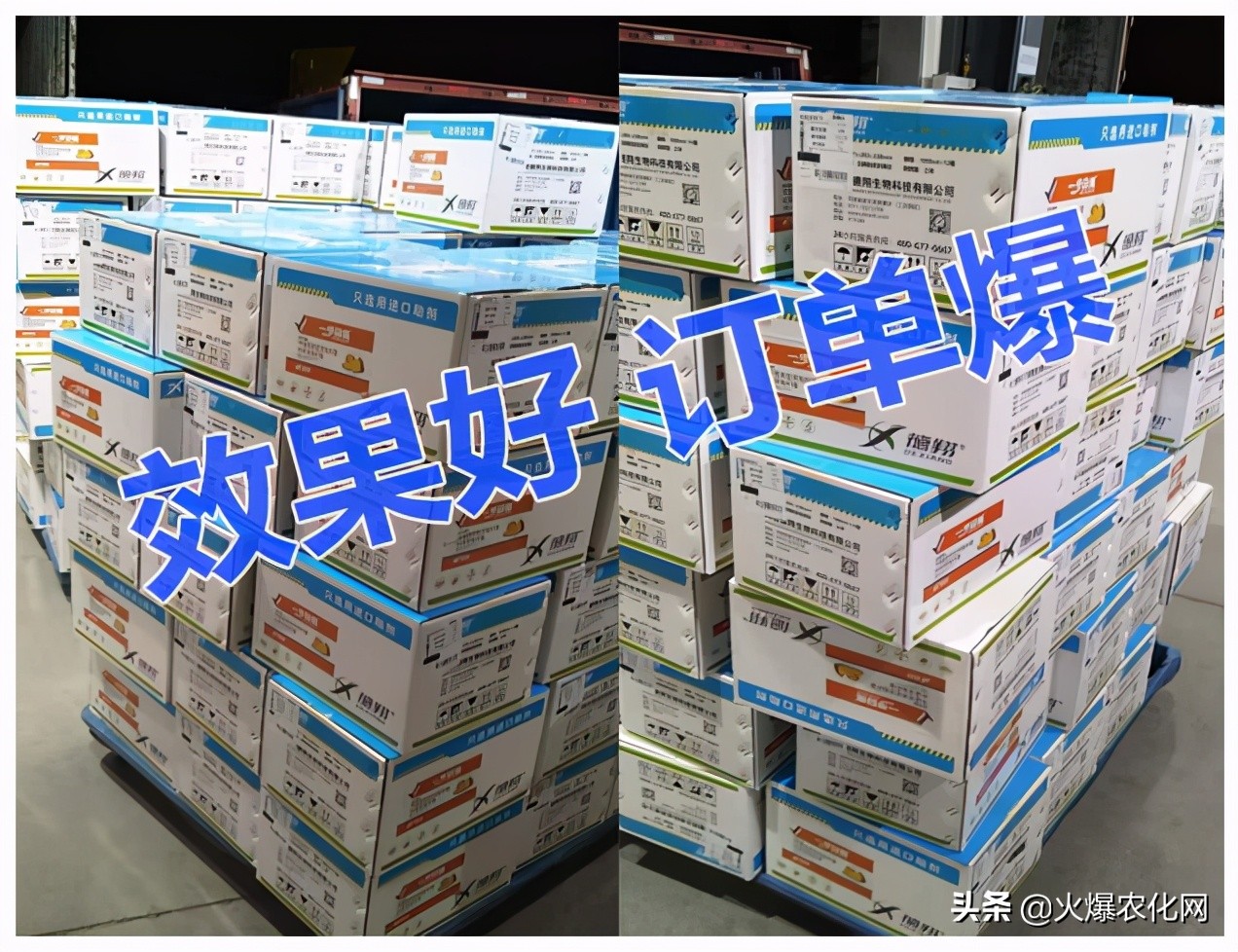 全面替代铜制剂！新一代“击溃爆品”！不伤花果！防治率高达96%