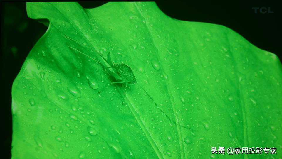 优派px727hd多少钱,优派px7274k值得买吗