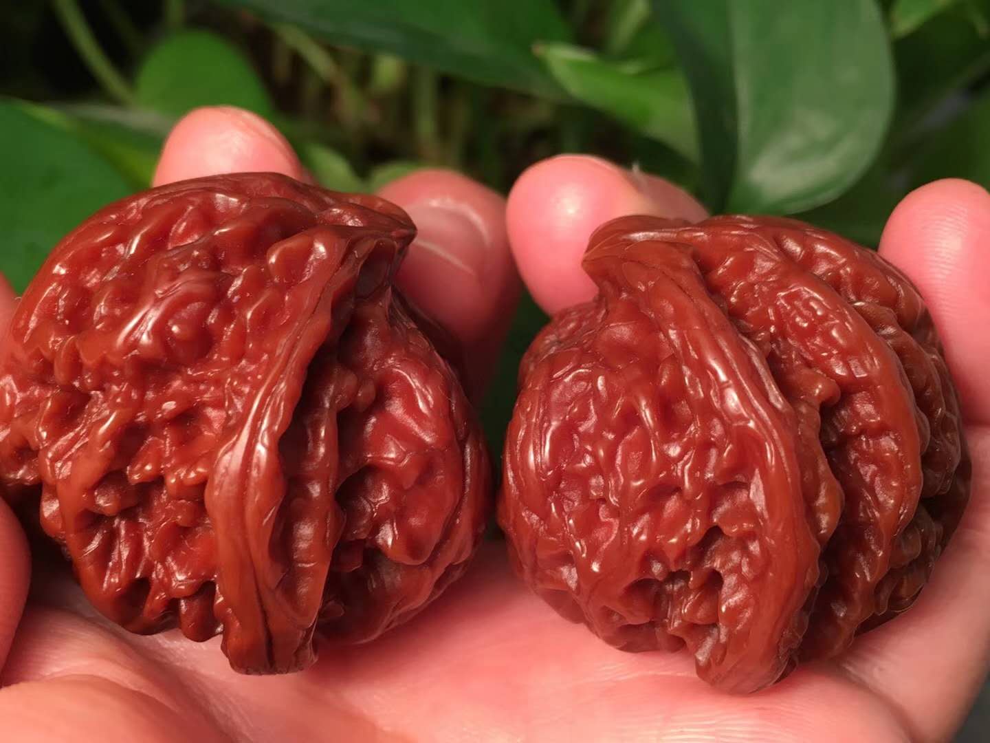 文玩新手盘核桃入门教程,文玩核桃新手避坑