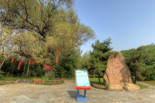 沈阳情侣游玩景点推荐,适合情侣去的旅游地方沈阳