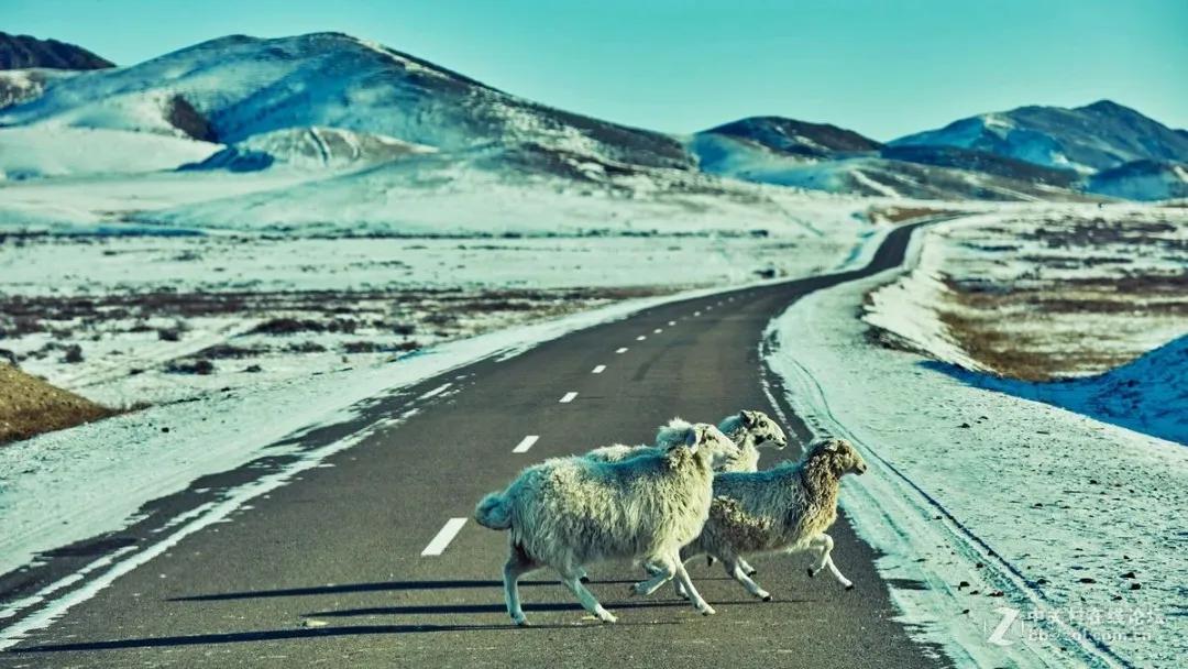 中国最没被认全的邻居,我国未被识别的民族有多少