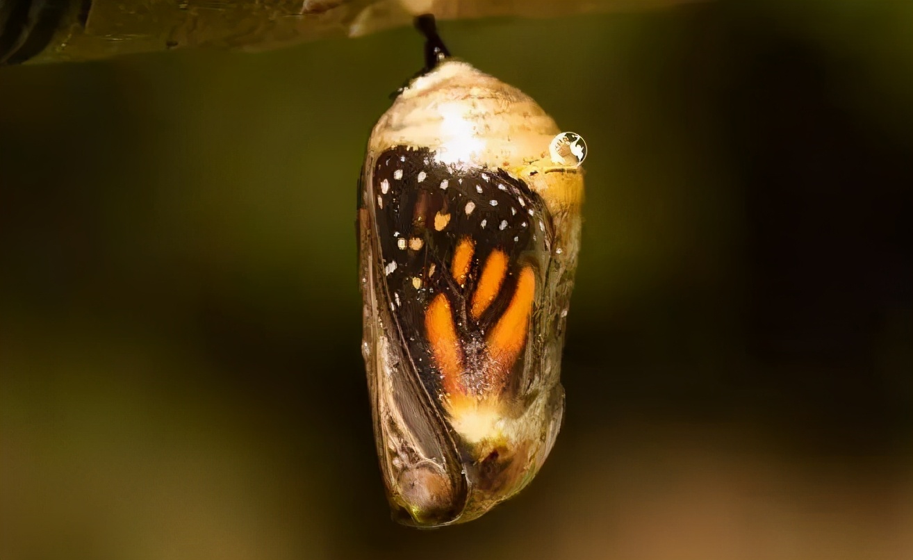 爱马仕丝巾90的一条多少钱,爱马仕400元一支