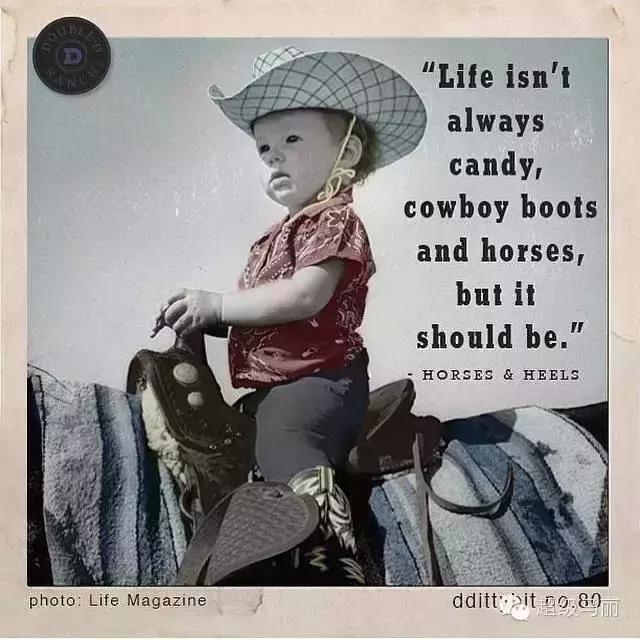 欧洲马术夏令营,草原马术夏令营