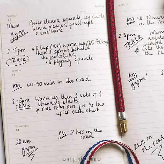 大迫杰基普乔格兔子,大迫杰问基普乔格