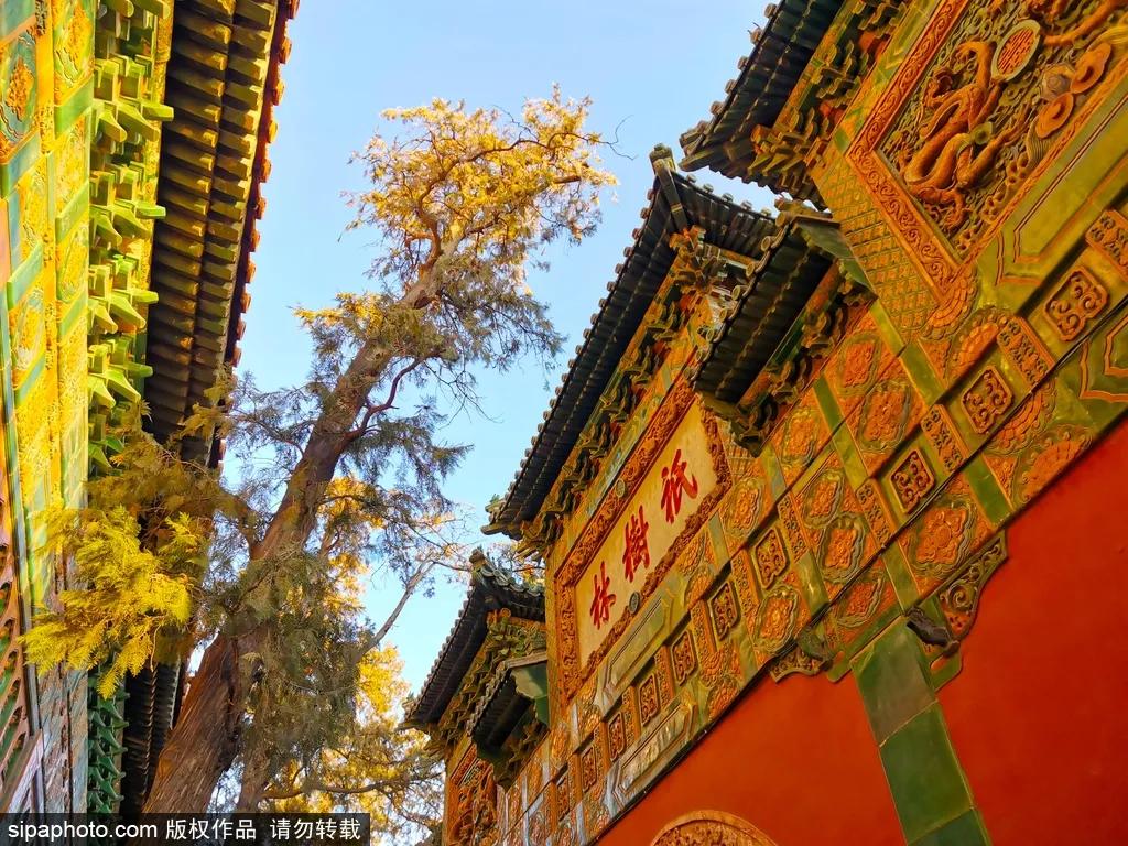 北京春季哪个公园值得去,北京十大免费公园哪些好玩