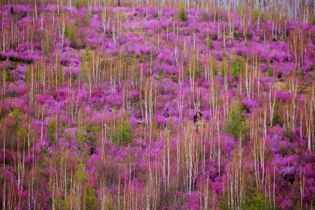 香港第14届全国摄影艺术展,第29届全国摄影艺术展览获奖名单