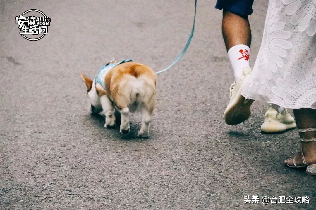 大蜀山,大蜀山爱情故事