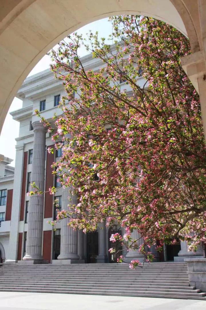 南开高级中学2021年录取分数线,天津市国家级示范性高级中学