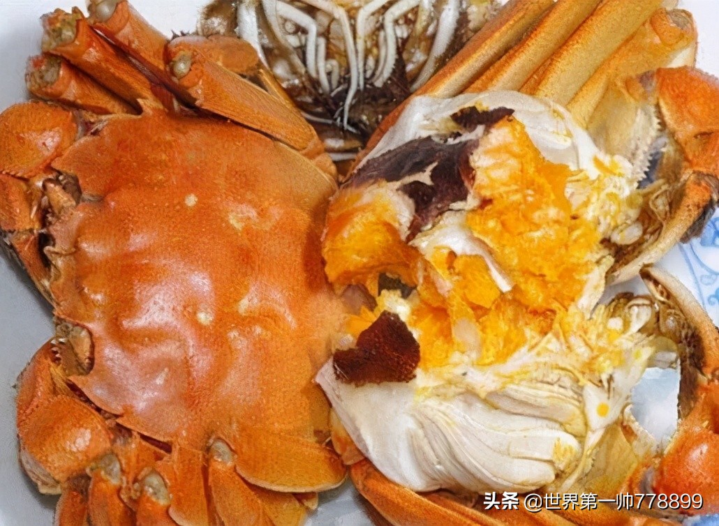 世界各国外来入侵生物,全世界最危险的物种入侵