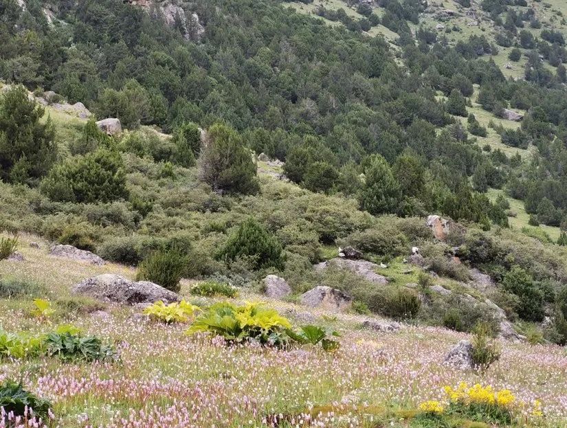 8月格聂c线,8月走格聂南线穿什么