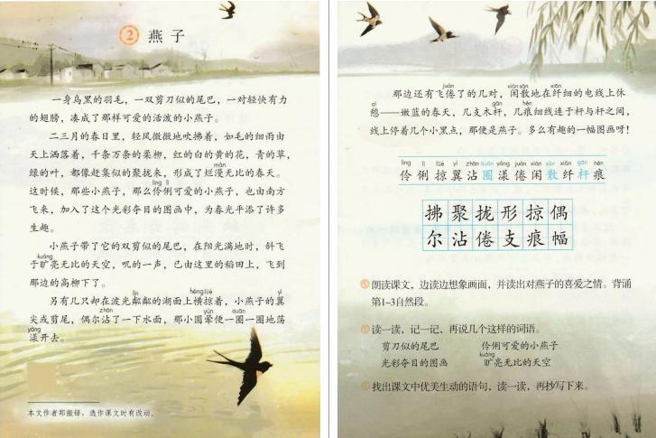 燕子教案逐字稿,教资面试燕子教案