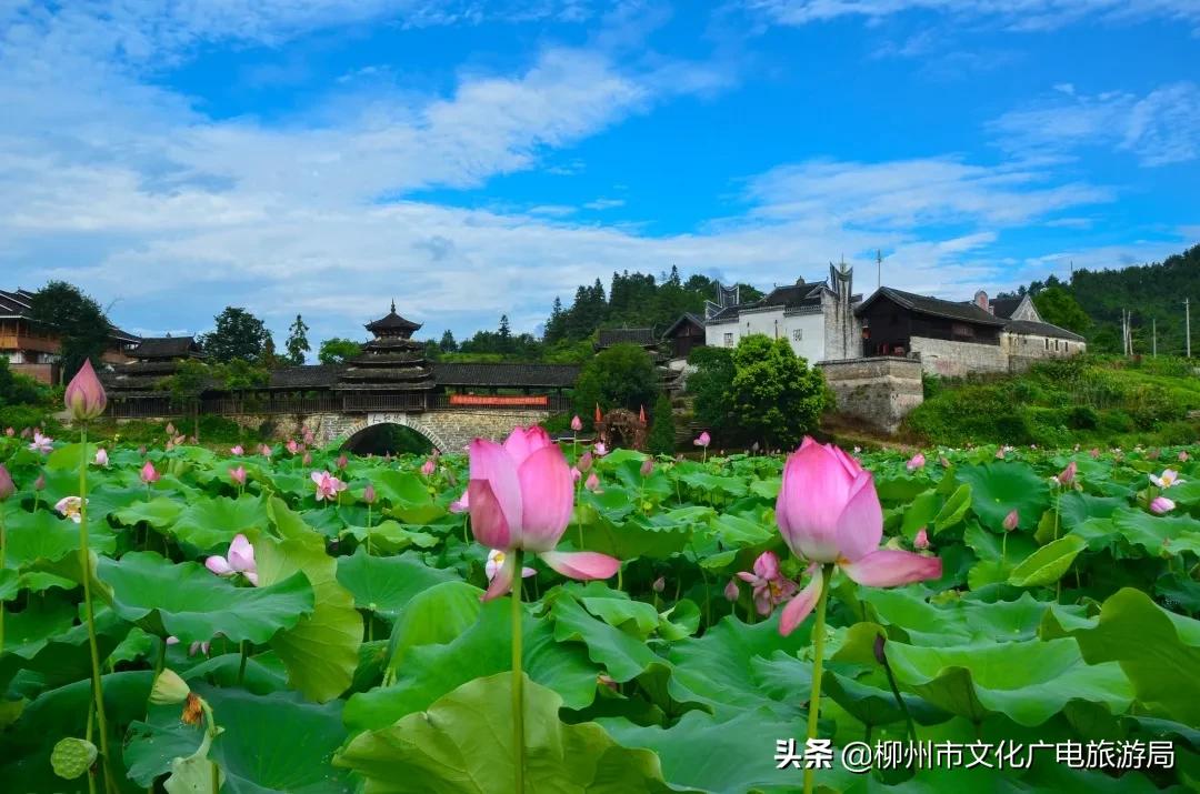 旅游农家乐,旅游休闲两不误