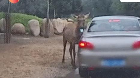 受害者被判了冤罪,遭网暴后续身亡的网友