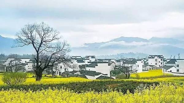 清明时节吃什么美食,清明时节江南地区要吃哪种美食