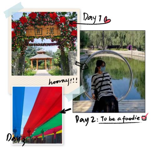 石家庄十一周边自驾游攻略,十一石家庄到胡杨林自驾游攻略