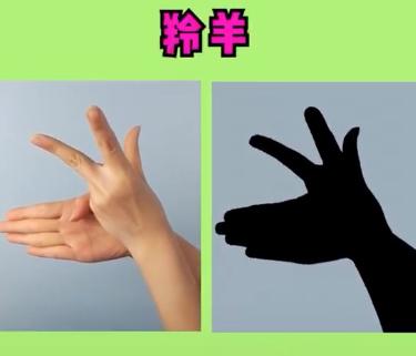 躺着陪孩子玩的睡前手指游戏,儿童亲子游戏6-12岁手脑协调