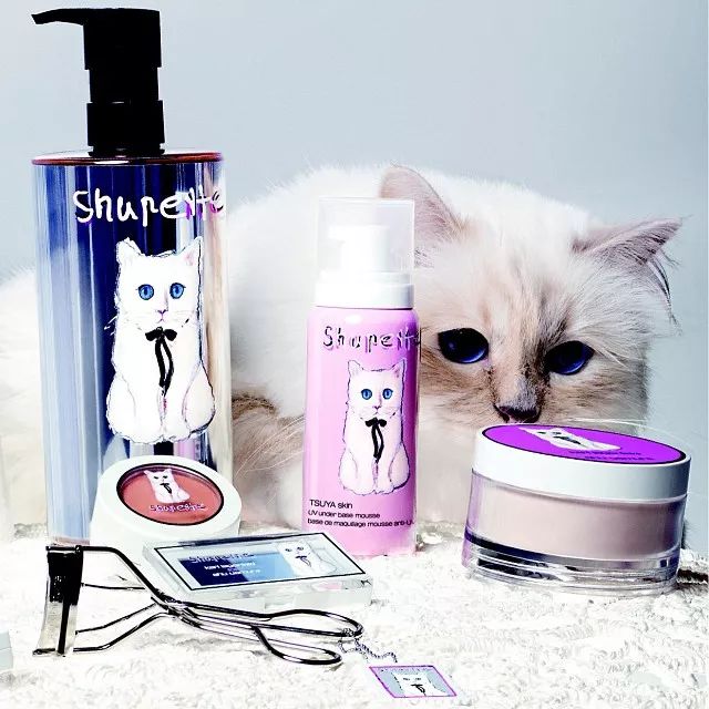 21亿遗产的猫现在怎么样了,失踪多年的猫终于回来了