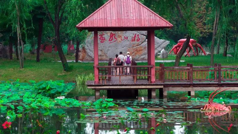 山东百强县2021年排名,山东2021百强县排名榜