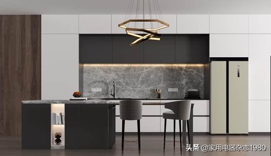 西门子单开门冰箱超薄嵌入式,西门子冰箱超薄双门新款双循环