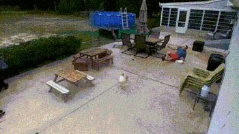 gif搞笑动图官网,gif搞笑动图节奏很重要