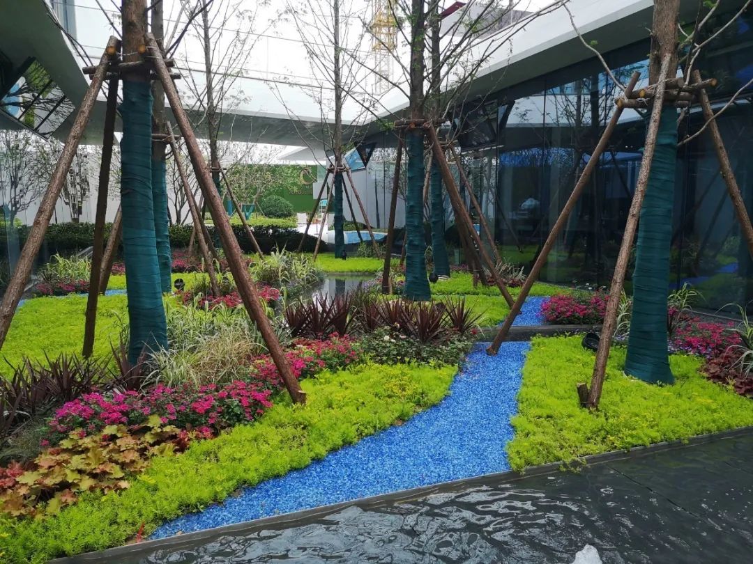 目前象湖滨江最性价比新楼盘,象湖滨江哪些楼盘是江景房