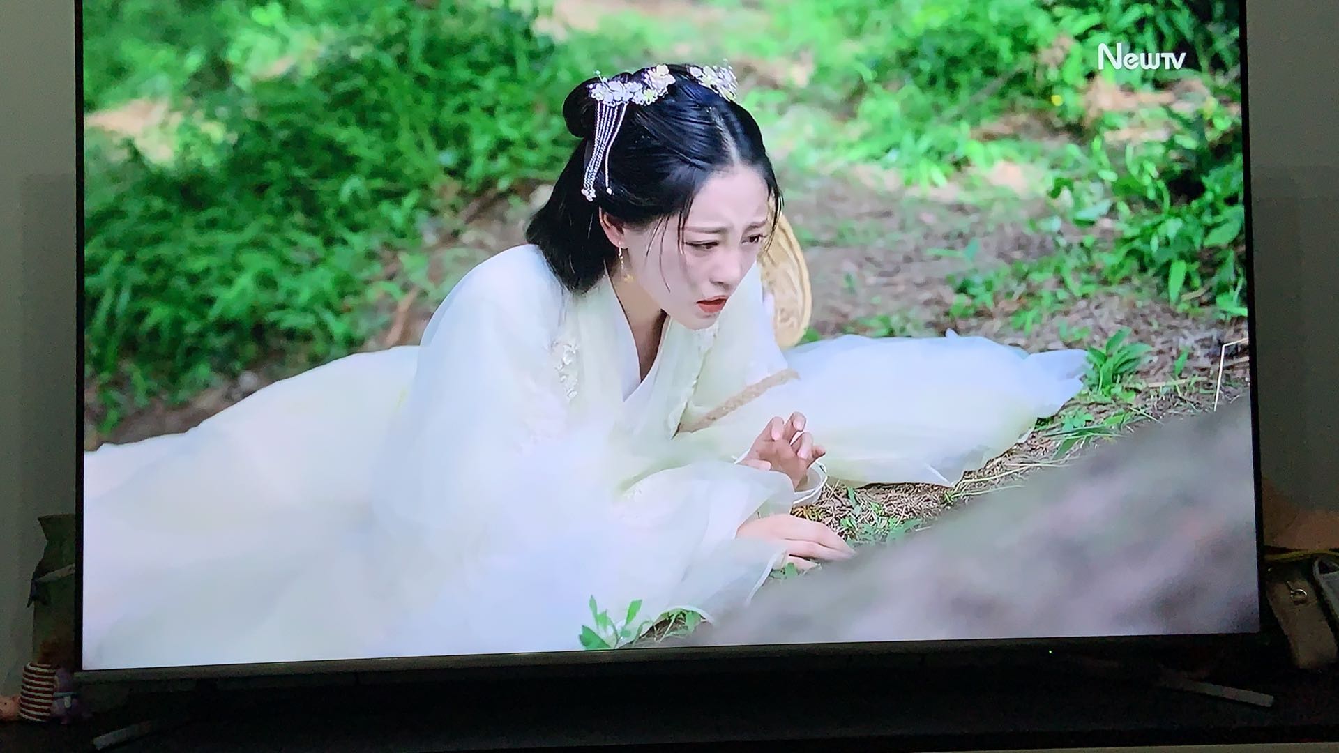 盘点猫咪高能名场面 (猫咪10大最萌镜头)