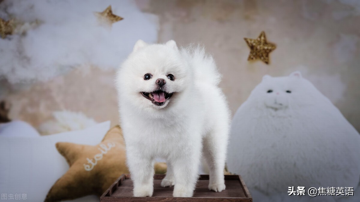 反意疑问句综合知识点