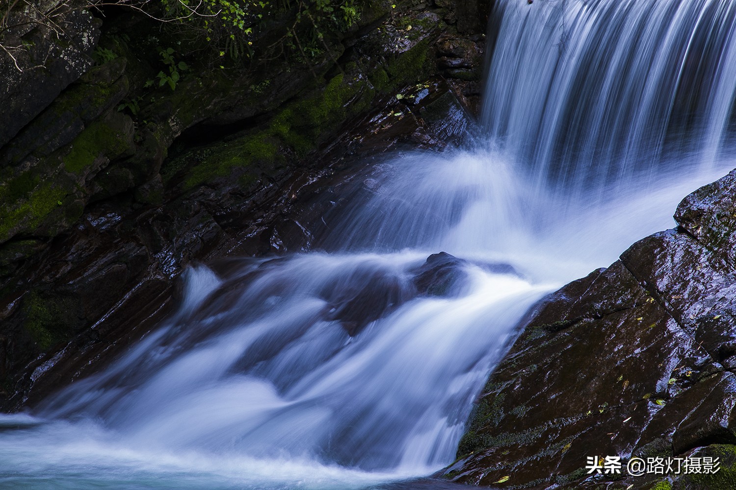 初夏要有十分美，宁夏固原占九分，你同意吗？