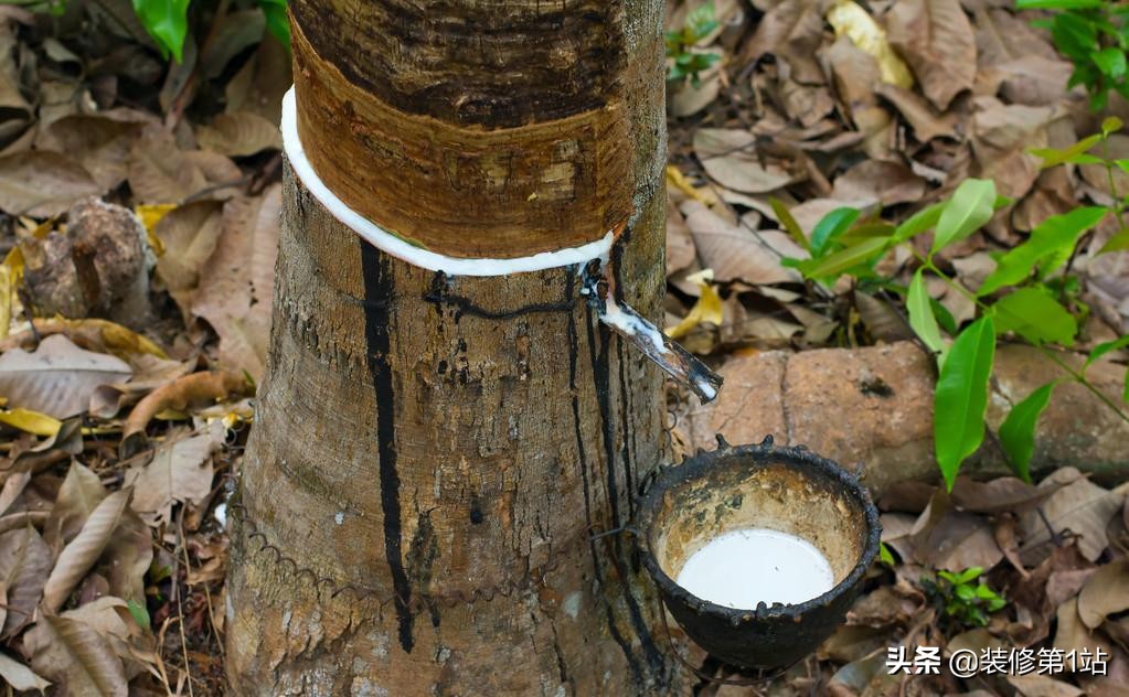 泰国原装进口乳胶枕头真假,泰国进口乳胶枕真相